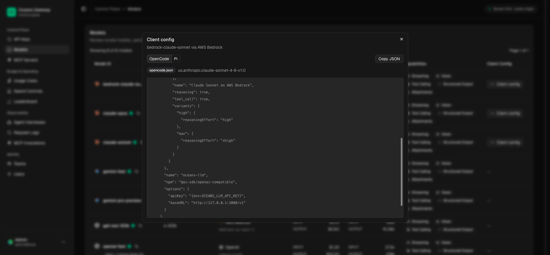 Model client config